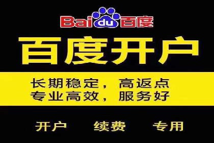 竞价排名实战技巧解析